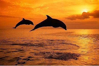 RPG游戏《人格解体》7月中旬开启众筹 精美周边公布