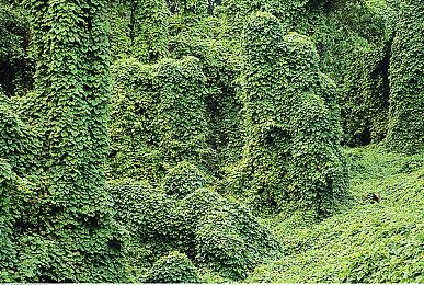 在开发超10年后 《坎巴拉太空计划》正式停更